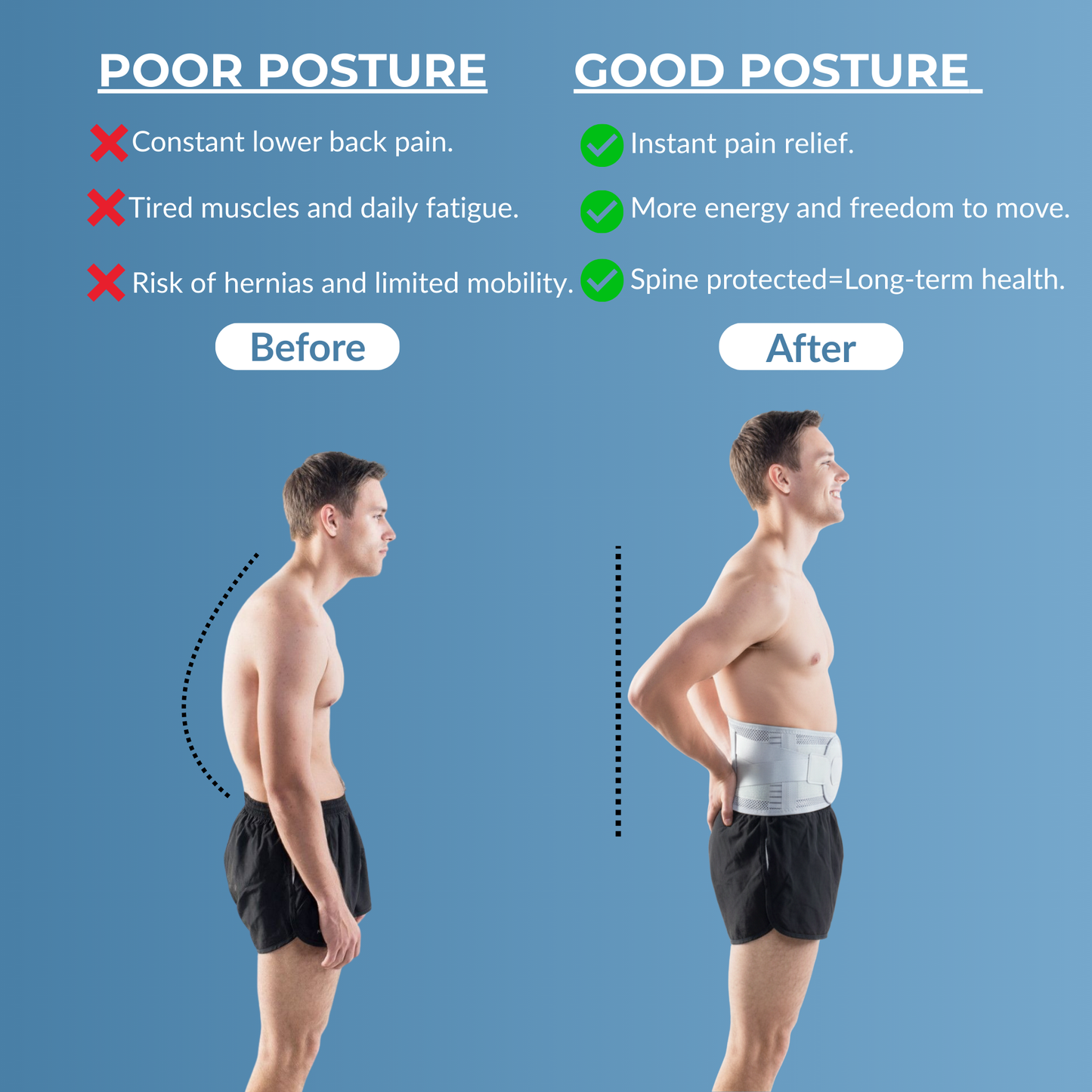 Flexera Professional  Lumbar Support for Lower Back Pain
