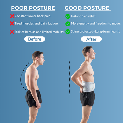 Flexera Professional  Lumbar Support for Lower Back Pain