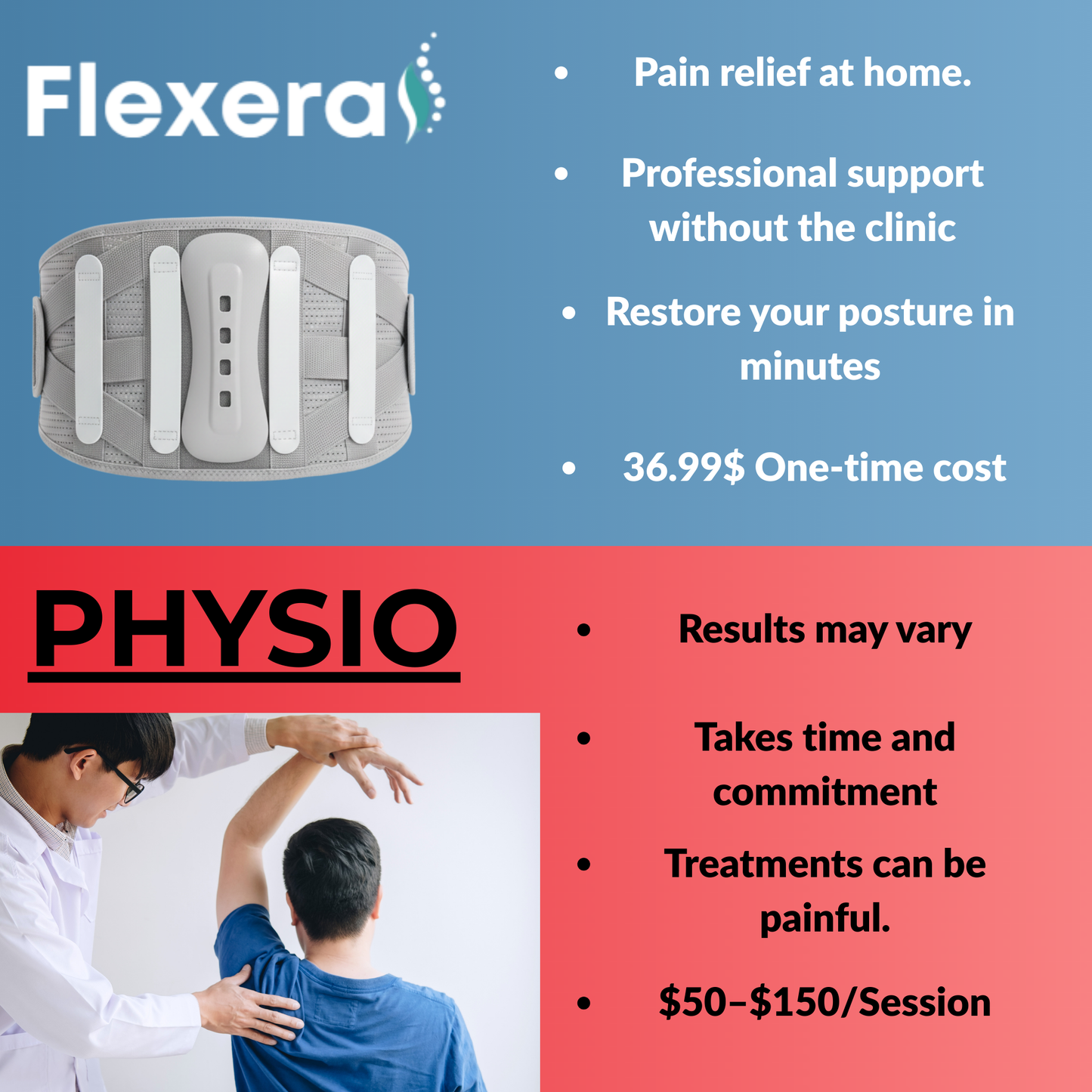 Flexera Professional  Lumbar Support for Lower Back Pain
