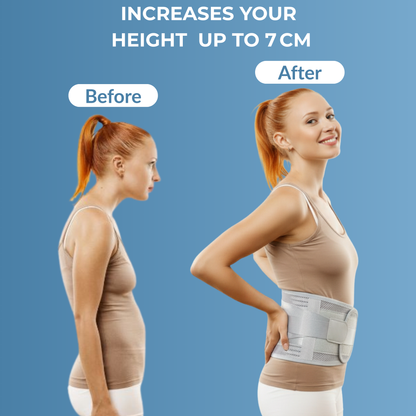 Flexera Professional  Lumbar Support for Lower Back Pain