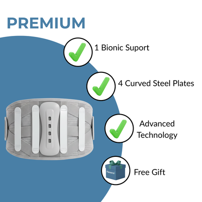 Flexera Professional  Lumbar Support for Lower Back Pain