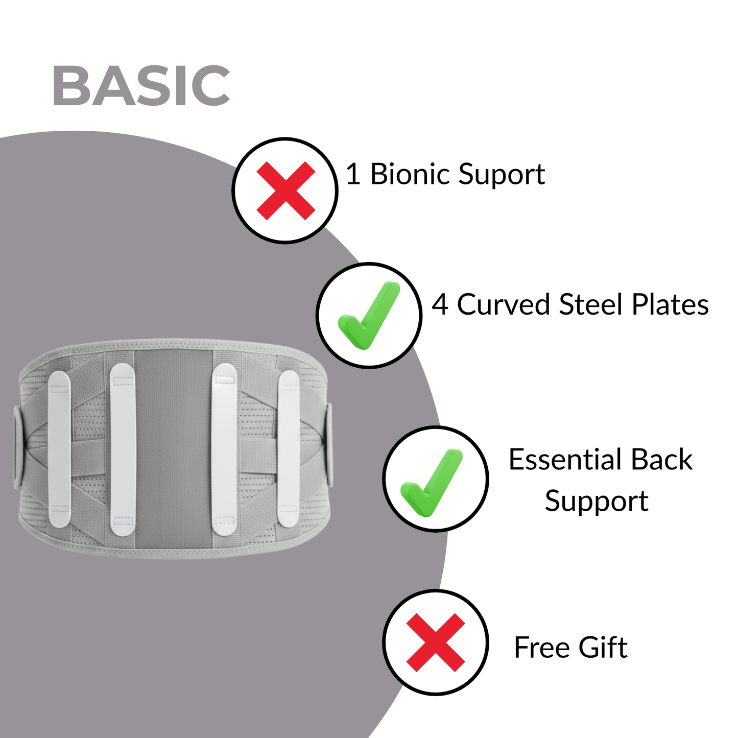 Flexera Professional  Lumbar Support for Lower Back Pain