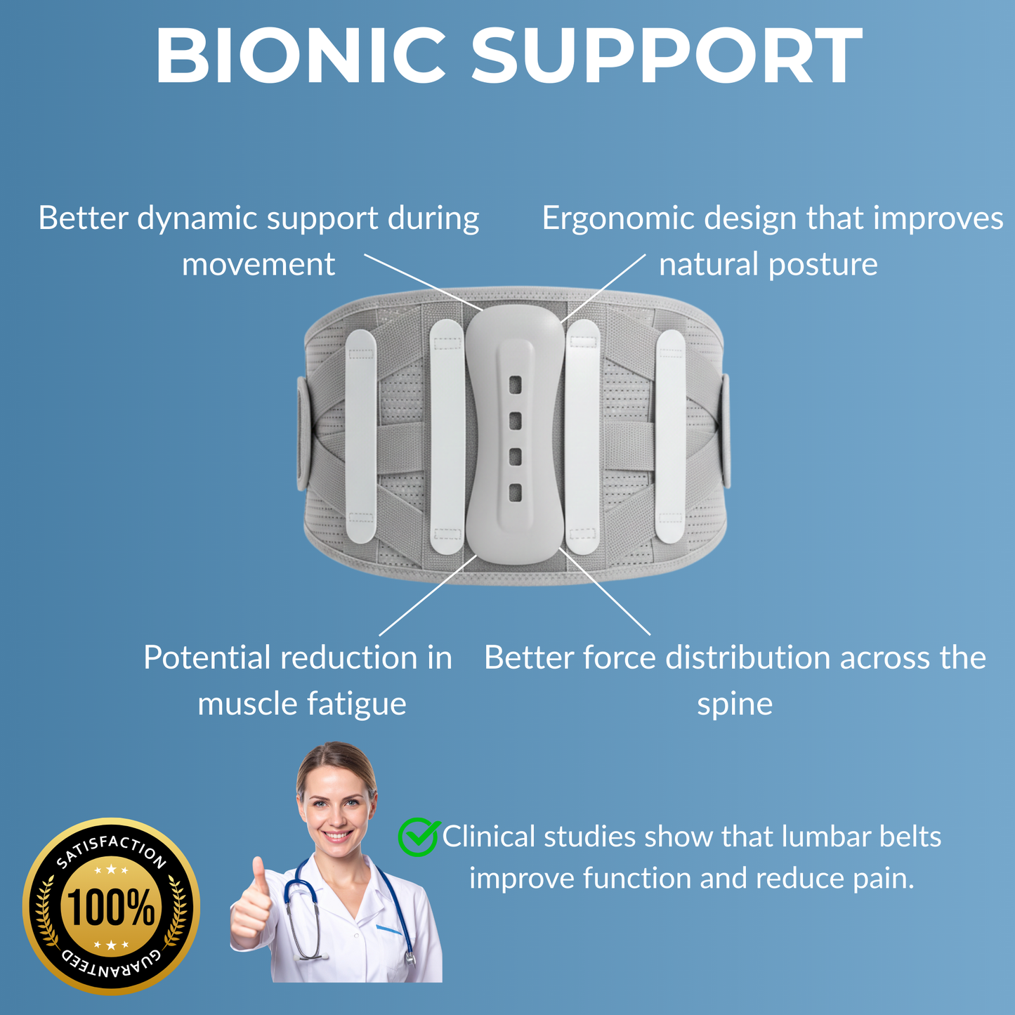 Flexera Professional  Lumbar Support for Lower Back Pain